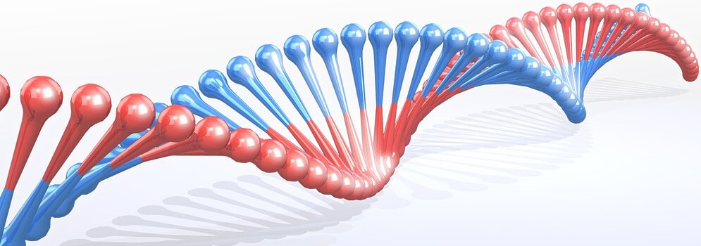 xet nghiem adn da nang uy tinh nhat